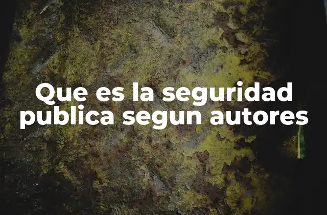 Que es la Seguridad Publica Segun Autores