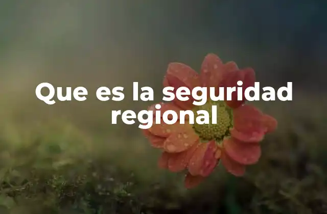 Que es la Seguridad Regional