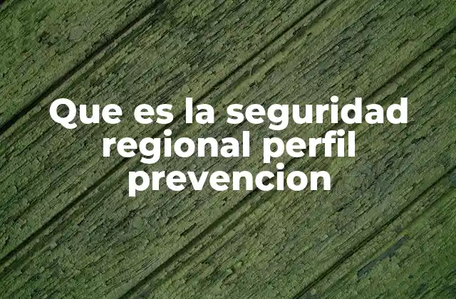 Que es la Seguridad Regional Perfil Prevencion 2 Cómo se estructura un sistema de seguridad regional basado en prevención