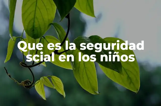 Que es la Seguridad Scial en los Niños