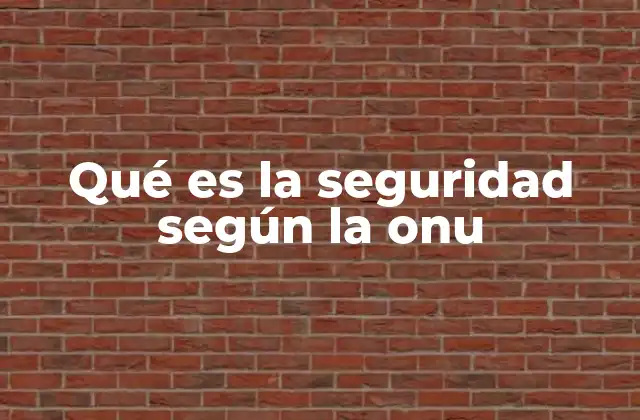 Qué es la Seguridad según la Onu