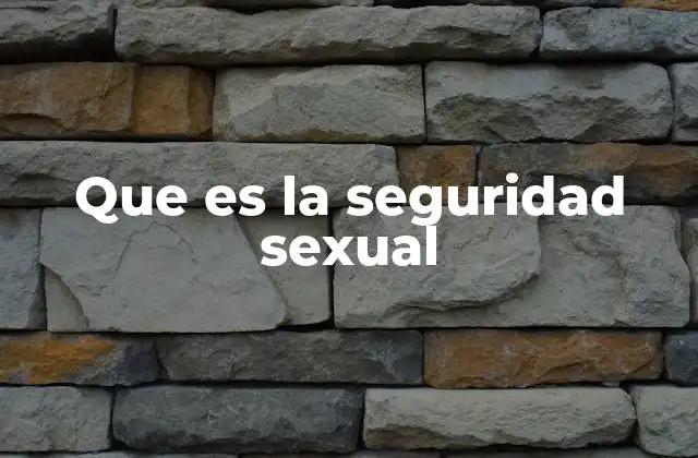 Que es la Seguridad Sexual