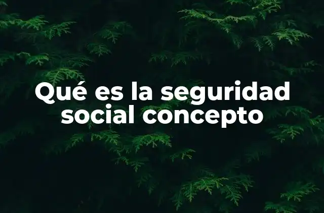 Qué es la Seguridad Social Concepto