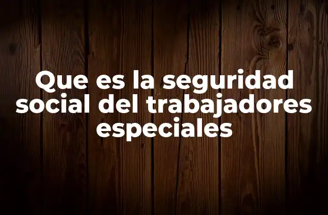 Que es la Seguridad Social Del Trabajadores Especiales