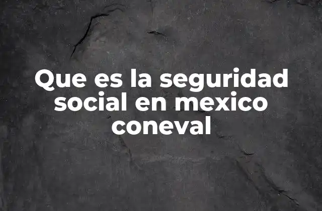 Que es la Seguridad Social en Mexico Coneval