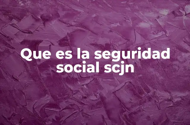 Que es la Seguridad Social Scjn
