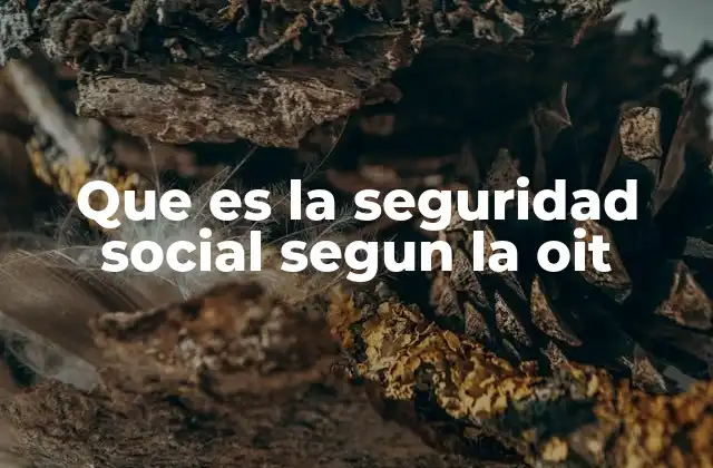 Que es la Seguridad Social Segun la Oit
