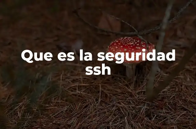 Que es la Seguridad Ssh
