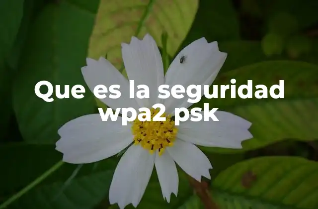 Que es la Seguridad Wpa2 Psk