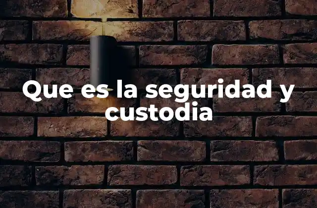 Que es la Seguridad y Custodia