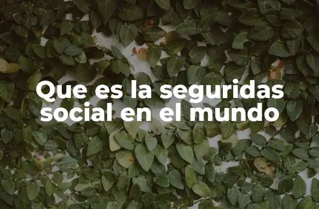 Que es la Seguridas Social en el Mundo