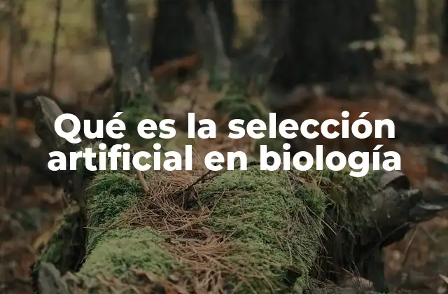 Qué es la Selección Artificial en Biología 2 Cómo se diferencia la selección artificial de la natural