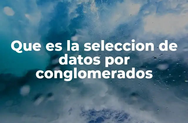 Que es la Seleccion de Datos por Conglomerados