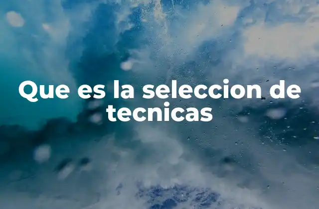 Que es la Seleccion de Tecnicas
