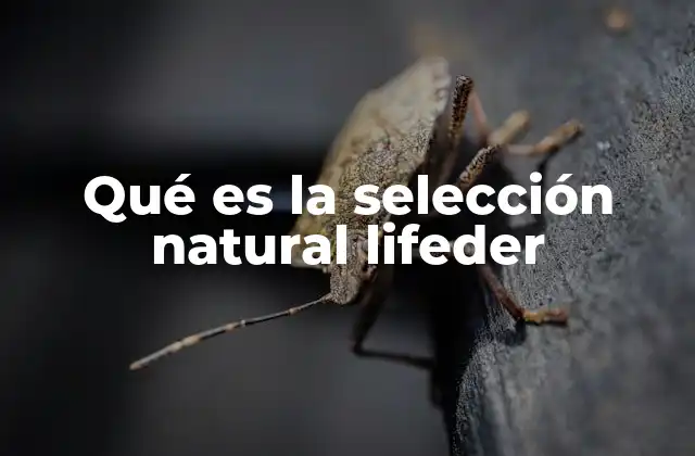 Qué es la Selección Natural Lifeder