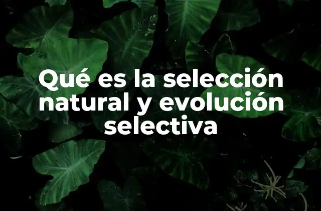 Qué es la Selección Natural y Evolución Selectiva