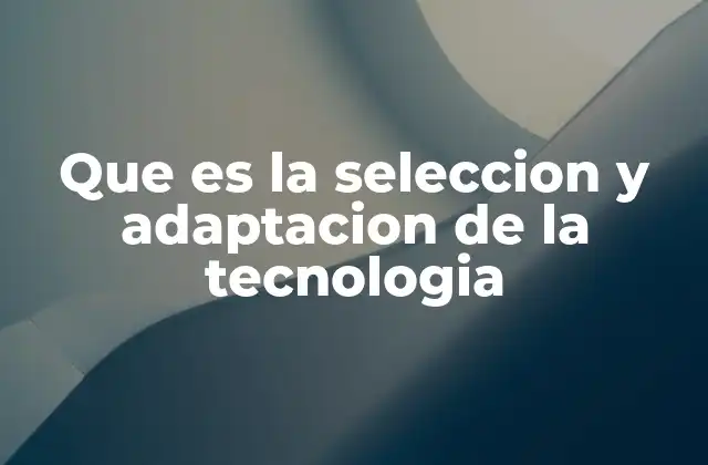 Que es la Seleccion y Adaptacion de la Tecnologia 2 Cómo las organizaciones enfrentan el desafío de integrar la tecnología