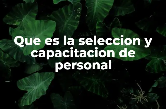 La base del éxito organizacional