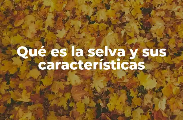 Qué es la Selva y Sus Características