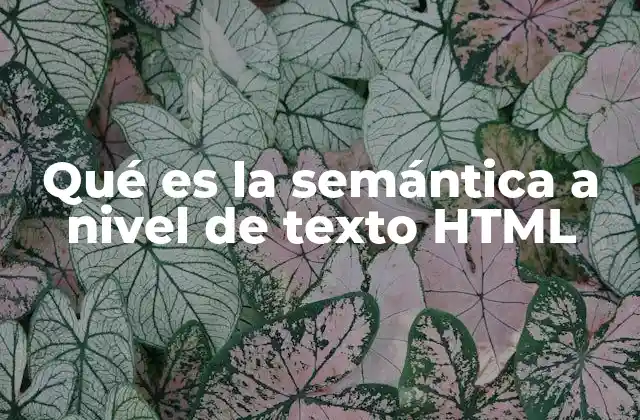 Qué es la Semántica a Nivel de Texto Html