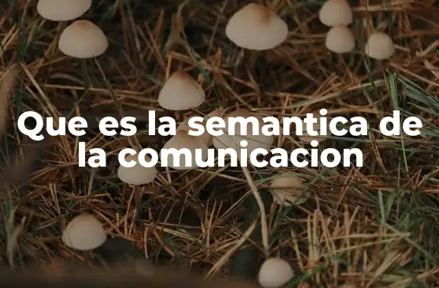 Que es la Semantica de la Comunicacion