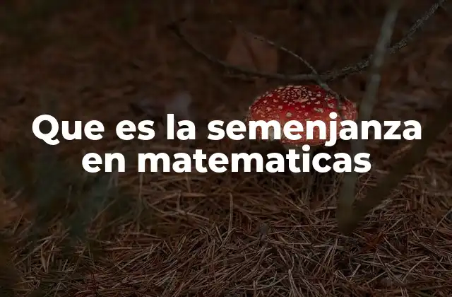 Que es la Semenjanza en Matematicas