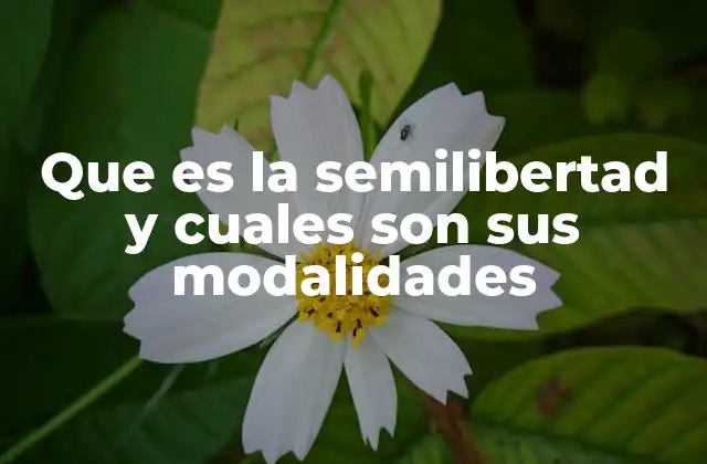 Cómo funciona el régimen de semilibertad