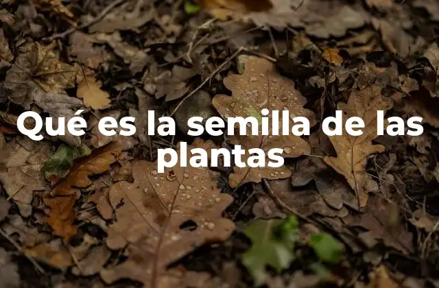 Qué es la Semilla de las Plantas