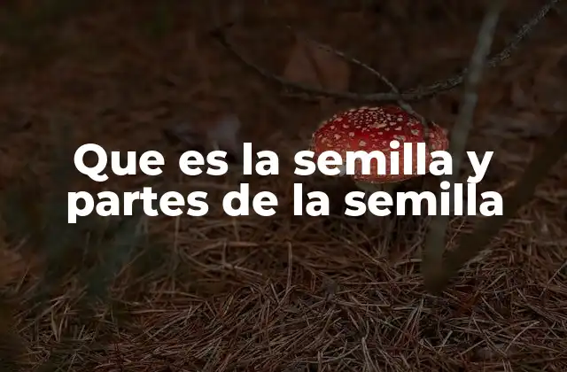 Que es la Semilla y Partes de la Semilla