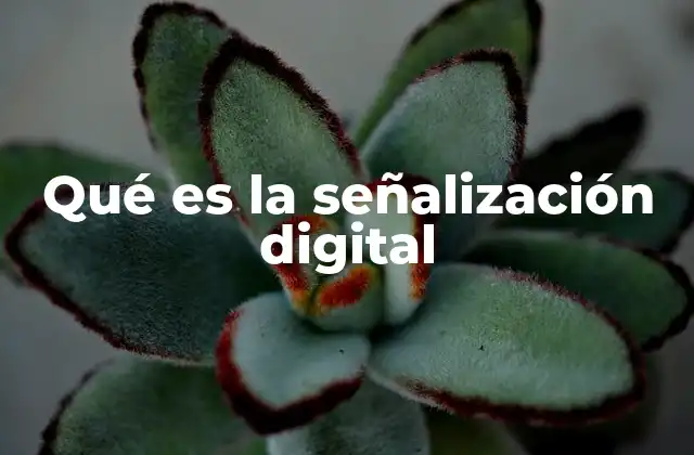 Qué es la Señalización Digital 2 La evolución de las señales en el entorno moderno