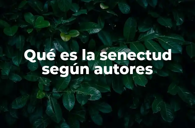 Qué es la Senectud según Autores 2 La visión de la senectud en la filosofía y la literatura clásica