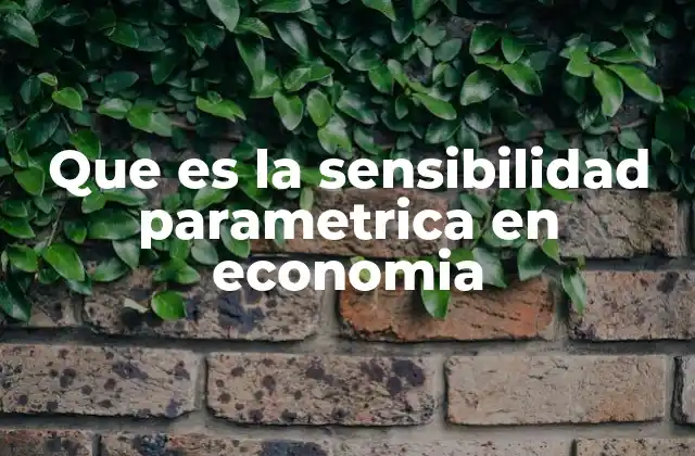 Que es la Sensibilidad Parametrica en Economia
