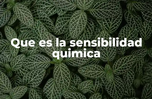 Que es la Sensibilidad Quimica 2 Cómo afecta la sensibilidad química a la vida cotidiana