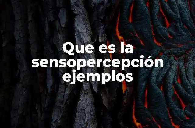 Que es la Sensopercepción Ejemplos