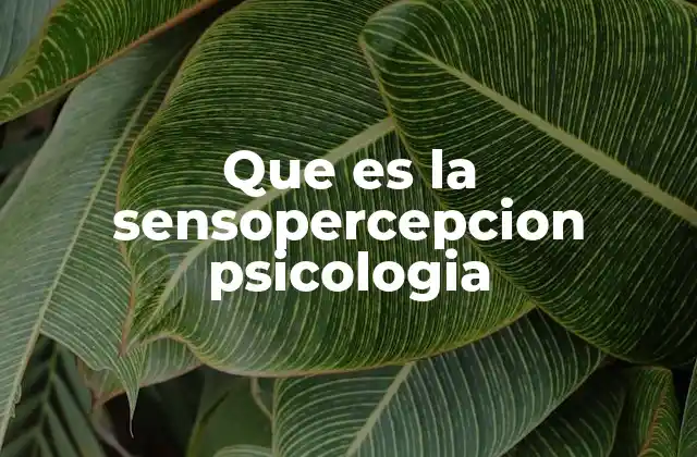Que es la Sensopercepcion Psicologia