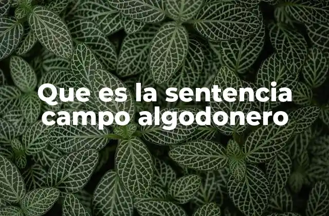 Que es la Sentencia Campo Algodonero