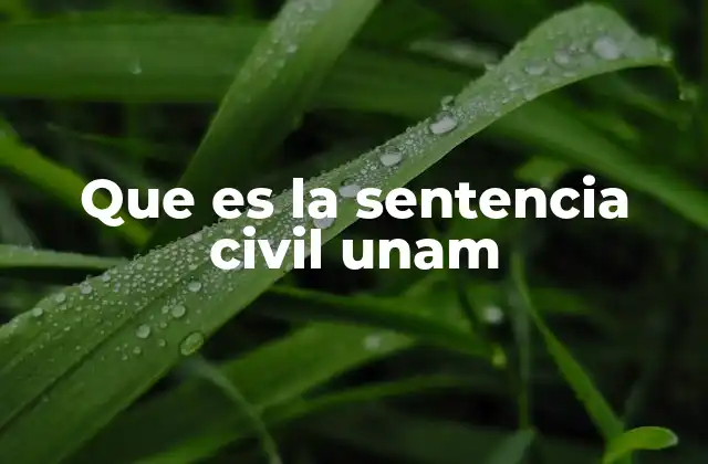 Que es la Sentencia Civil Unam