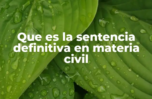 Que es la Sentencia Definitiva en Materia Civil