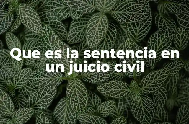 Que es la Sentencia en un Juicio Civil