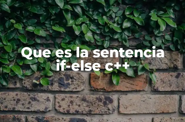 Que es la Sentencia If-else C++