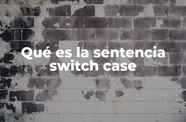 Estructura y sintaxis de la sentencia switch case