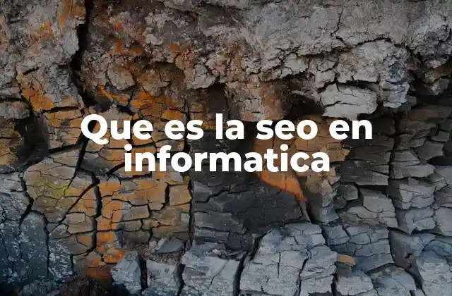 Que es la Seo en Informatica