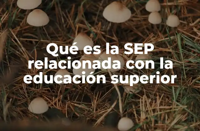 Qué es la Sep Relacionada con la Educación Superior