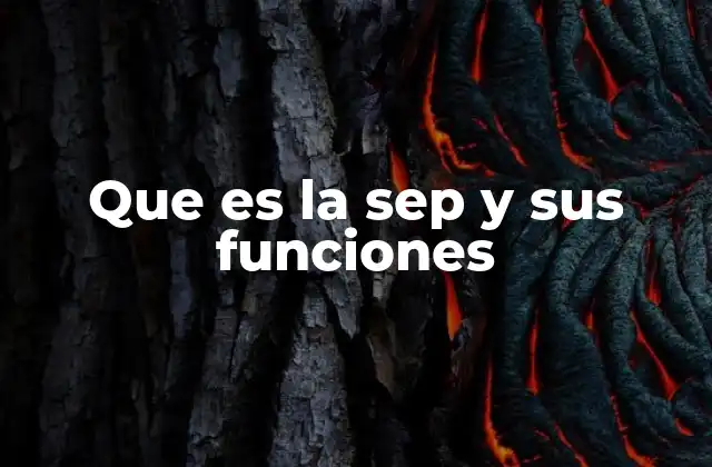 Que es la Sep y Sus Funciones