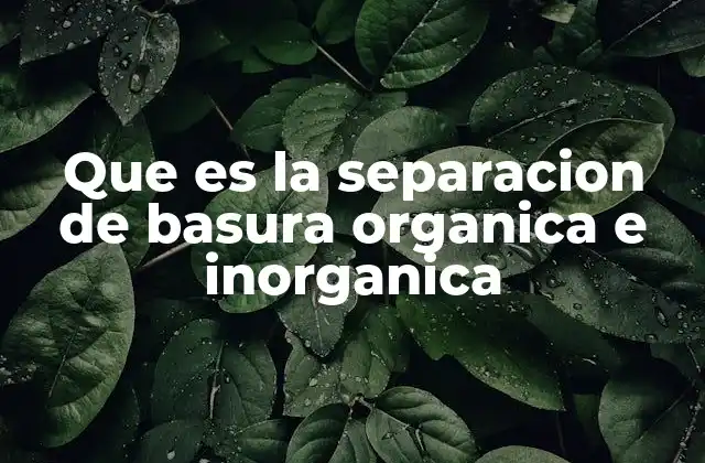 Que es la Separacion de Basura Organica e Inorganica
