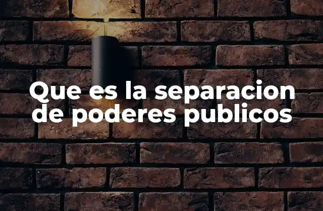 Que es la Separacion de Poderes Publicos