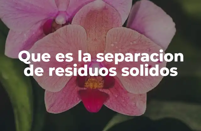 Que es la Separacion de Residuos Solidos