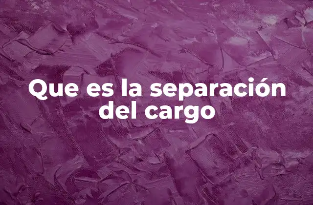 Que es la Separación Del Cargo