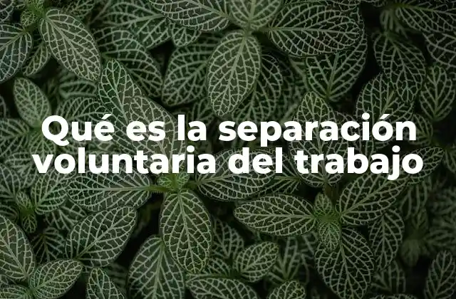 Qué es la Separación Voluntaria Del Trabajo