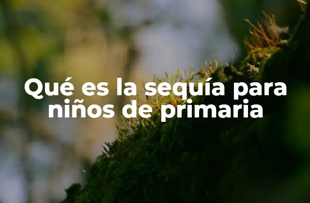 Qué es la Sequía para Niños de Primaria